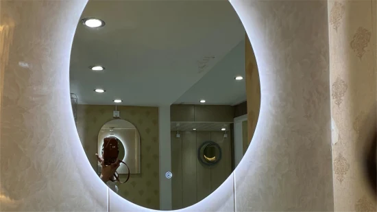 Factory Price Irregular Shape Decorative Aluminum Mirror Glass Bath Make up Mirror